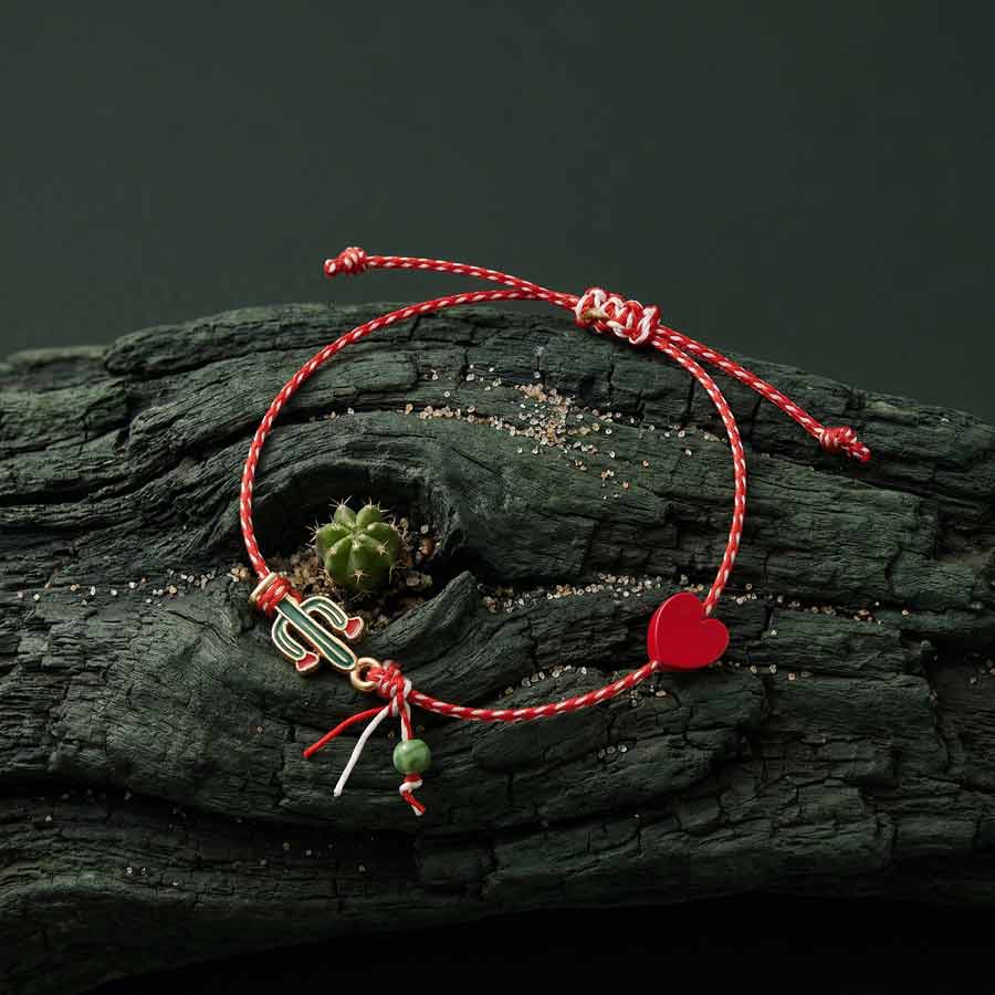 Μάρτης Red cactus - Image 4